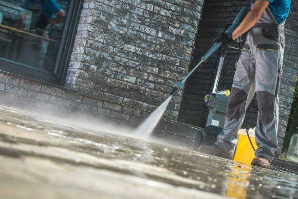 Best Roof Washing  in South Venice, FL