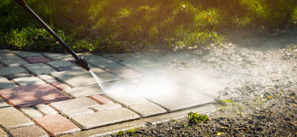 Animal Enclosure Cleaning in South Venice, FL